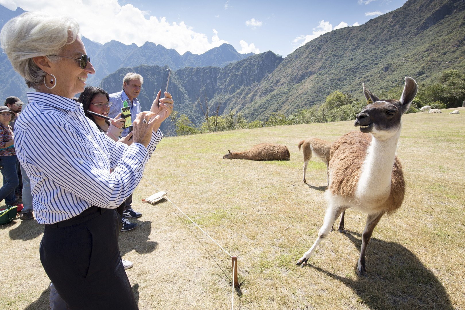 المديرة التنفيذية لصندوق النقد الدولي تلتقط صورة لـ"لاما"