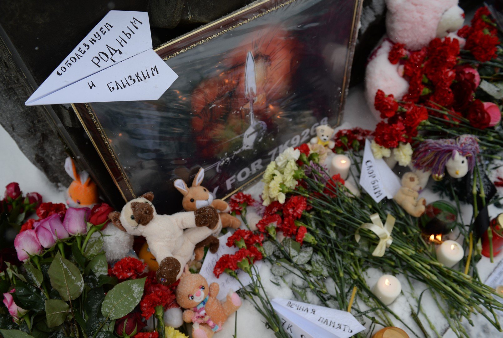 تحطم طائرة الركاب الروسية في سيناء: في 31 أكتوبر/تشرين الثاني تحطمت طائرة أيرباص "A321" التابعة لأحدى الشركات الروسية في أجواء سيناء المصرية بعد إقلاعها من شرم الشيخ بسبب قنبلة تم زرعها داخل الطائرة. وتسبب هذا العمل الإرهابي بمقتل كل الموجودين على متن الطائرة وهم 224 شخصا. وتبنى تنظيم "داعش" الهجوم.