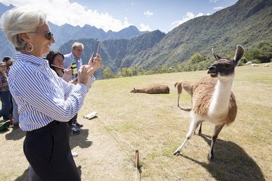 المديرة التنفيذية لصندوق النقد الدولي تلتقط صورة لـ"لاما"