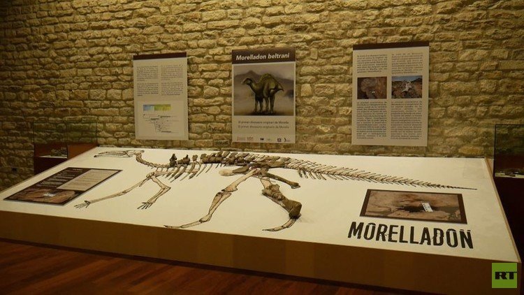 بالفيديو من إسبانيا.. اكتشاف نوع جديد من الديناصورات العشبية