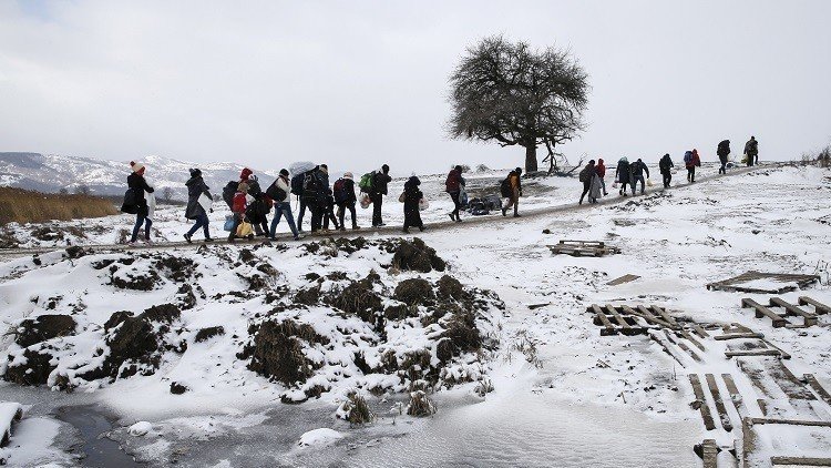 النمسا ترحل 50 ألف لاجئ إلى أوطانهم