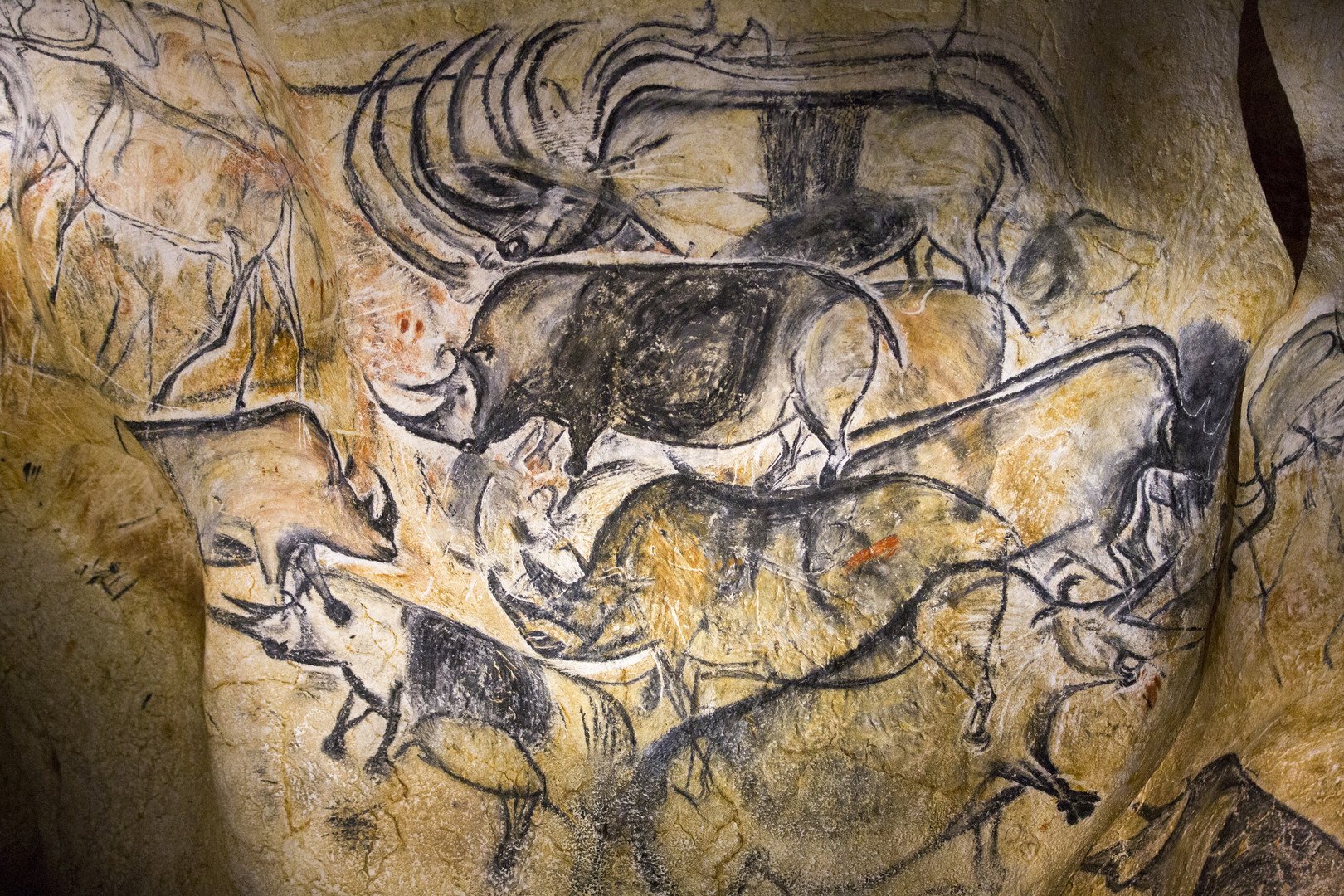 بالصور ... رسومات منذ 35 ألف عام تكشف عن أولى الكوارث الطبيعية في العالم 