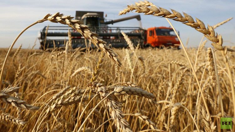 روسيا نحو زيادة صادرات الحبوب بنحو 61% بحلول 2030