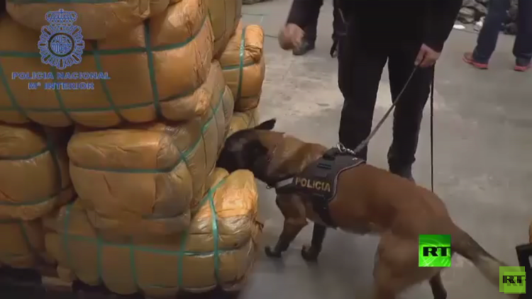 بالفيديو.. إسبانيا تضبط 20 ألف بدلة عسكرية قبل شحنها لداعش والنصرة