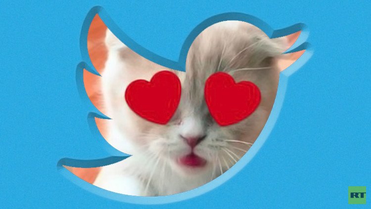 تويتر بصدد إطلاق وظيفة تحرير الصور الفوتوغرافية