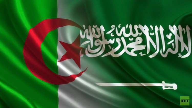 100 مليار دولار ...استثمارات سعودية محتملة في الجزائر 