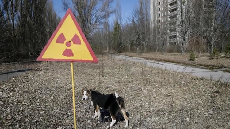 بناء قبة خرسانية ضخمة حول مفاعل تشرنوبيل النووي 