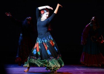 مشاركة  في الدور النهائي لمسابقة "مفخرة شرطة موسكو"