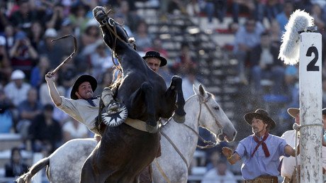 راعي بقر يركب حصانا غير مروض في أثناء الاحتفالات الجارية في مونتيفيديو