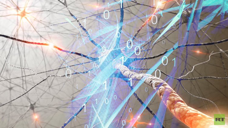 خبراء أمريكيون يصممون لغة لبرمجة عمل الخلايا الحية