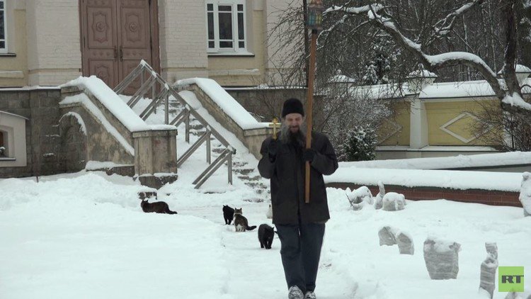 قسيس يبارك قططا في مسيرة حول كاتدرائيته (فيديو)