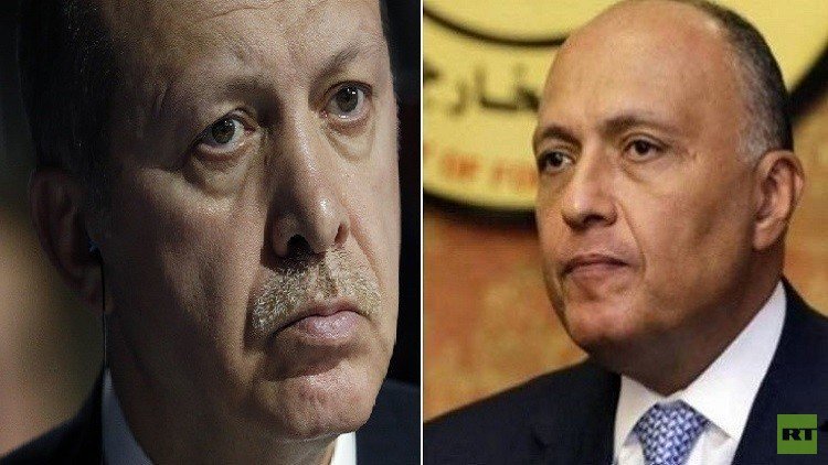 وزير الخارجية المصري يتجاهل أردوغان.. (فيديو)