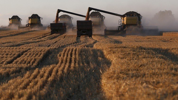 روسيا تتربع على عرش مصدري القمح في العالم 