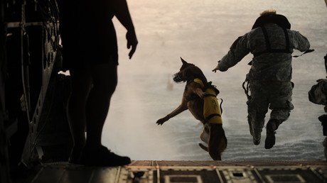 عسكري أمريكي مع كلبه يقفزان من مروحية