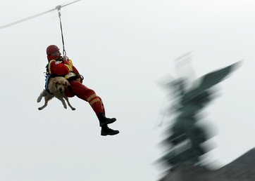 رجل طوارئ مع كلبه في أثناء تقديم عرض