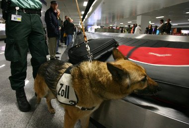 ضابط في الجمارك مع كلبه في أثناء فحص أمتعة الركاب