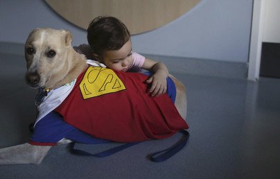 طفلة تحضن كلبا مدربا خصيصا على تطبيب المرضى