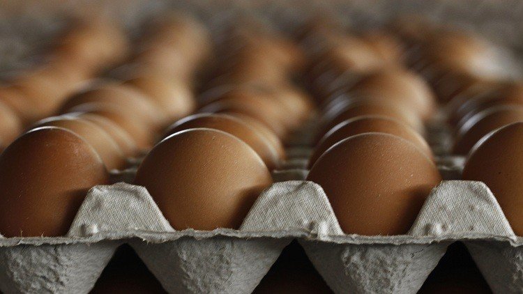 التلغراف: داعش يبيع البيض والدجاج في ليبيا