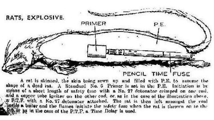  أغرب أنواع أسلحة الحرب العالمية الثانية (صور)