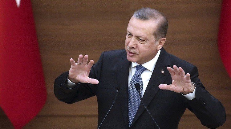أردوغان: سنحمي حدودنا حتى لو لم نتلق مساعدة
