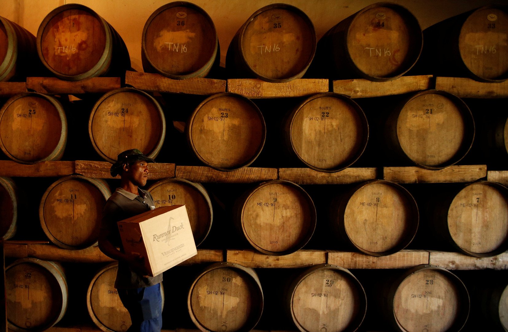 عامل يحمل صندوق من النبيذ المصنوع في مزرعة العنب جنوب إفريقيا