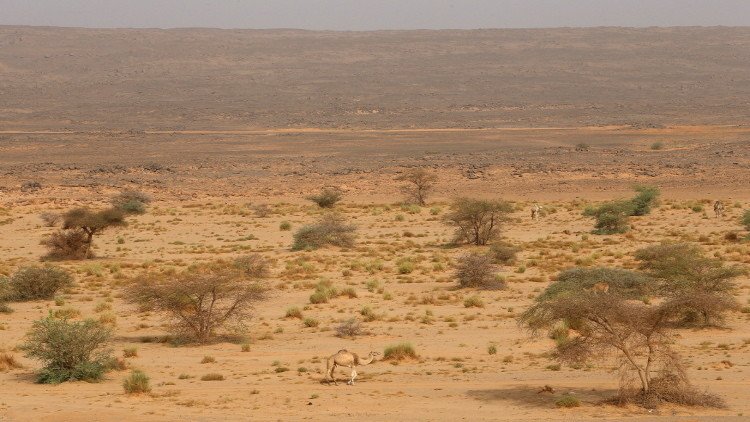 العثور على جثث 34 مهاجرا بينهم 20 طفلا في صحراء النيجر