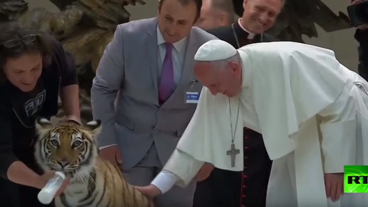 نمر يحاول عض يد البابا فرنسيس