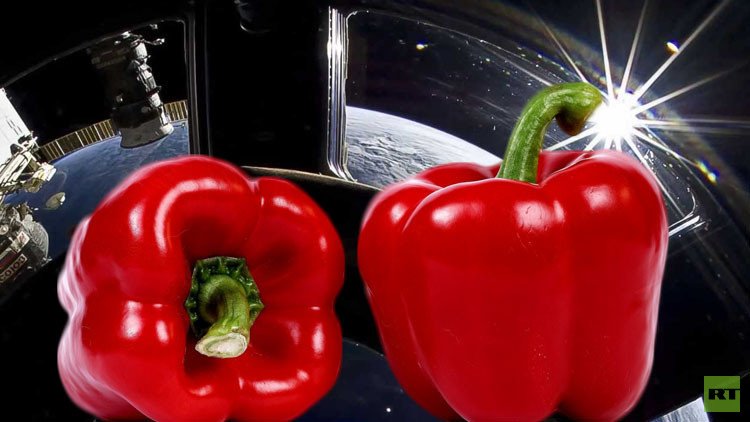 مشروع زراعي قد يقام على متن المحطة الفضائية