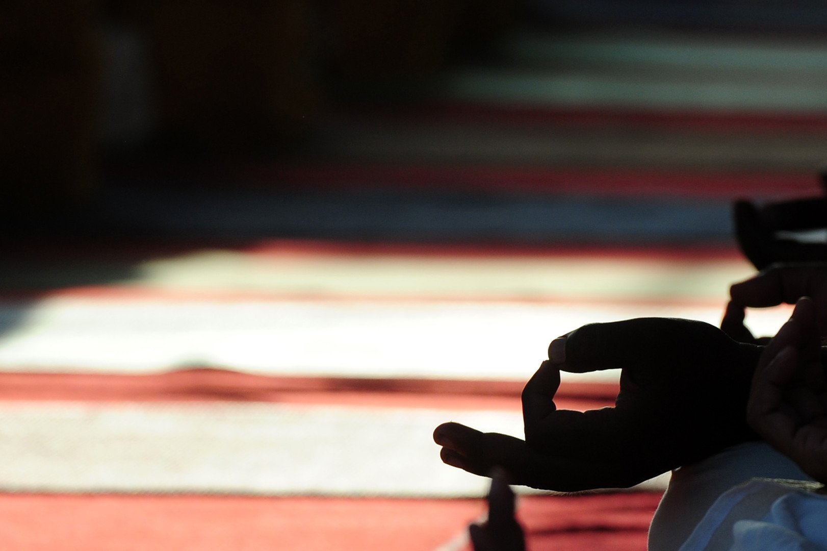 متحمسون لرياضة اليوغا من سيلان يمارسونها  في يوم اليوغا العالمي الأول في عام 2015