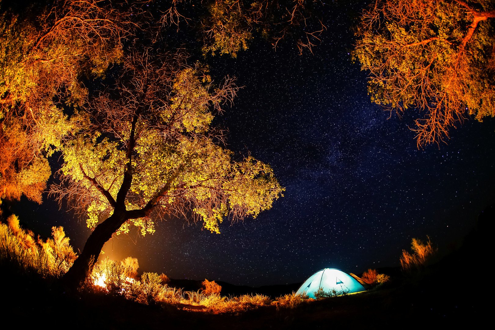 مشهد النجوم في سماء الليل من الحديقة الوطنية ألتين-إيمل في منطقة ألماتي، كازاخستان