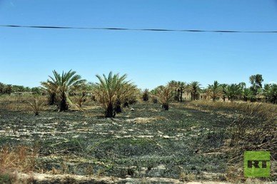 البساتين المحترقة إثر المعارك