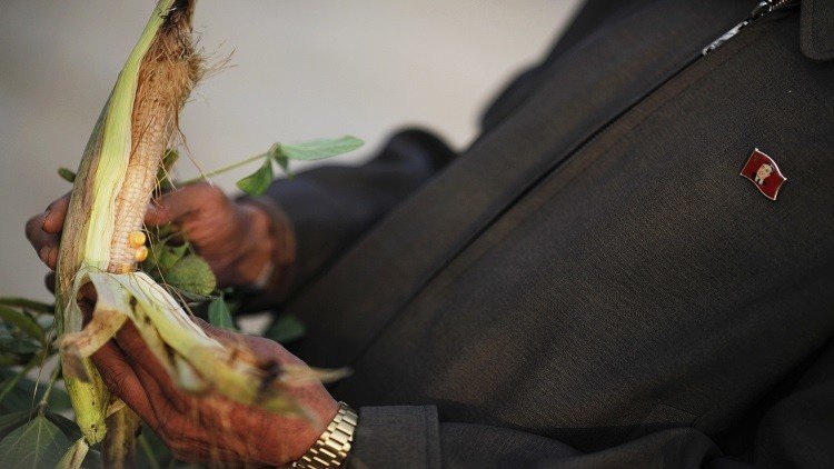 تقرير أممي: 40% من سكان كوريا الشمالية يعانون سوء تغذية