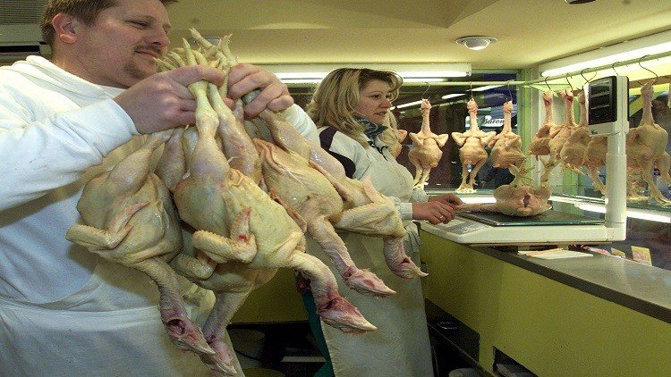 هل غسل الدجاج خطر وضار؟