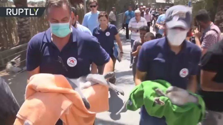 حديقة الحيونات في غزة تودع نزلاءها