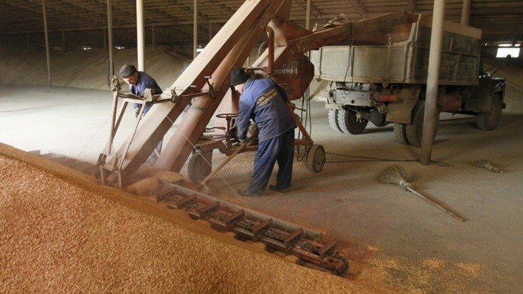 موسكو تعلن عن رغبتها في حل مشكلة القمح مع القاهرة