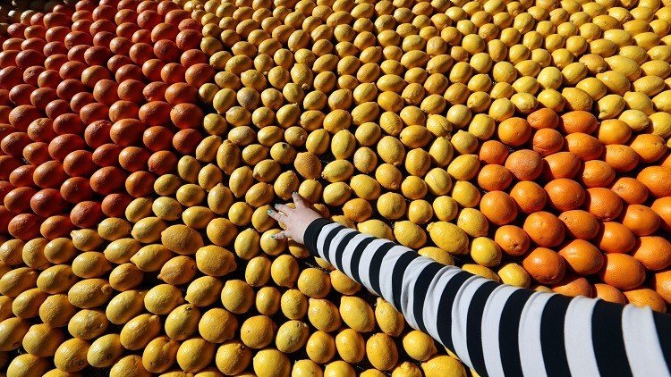 مصر: مخالفة 3 شركات للمعايير الروسية وراء وقف التصدير