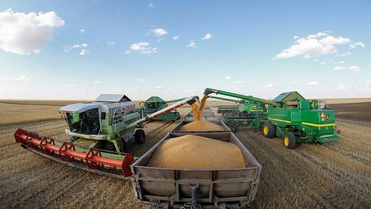 روسيا تستأنف صادرات القمح إلى مصر 