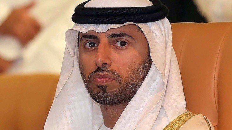 الإمارات: اتخاذ "أوبك" لقرار يسرع من تعافي سوق النفط 