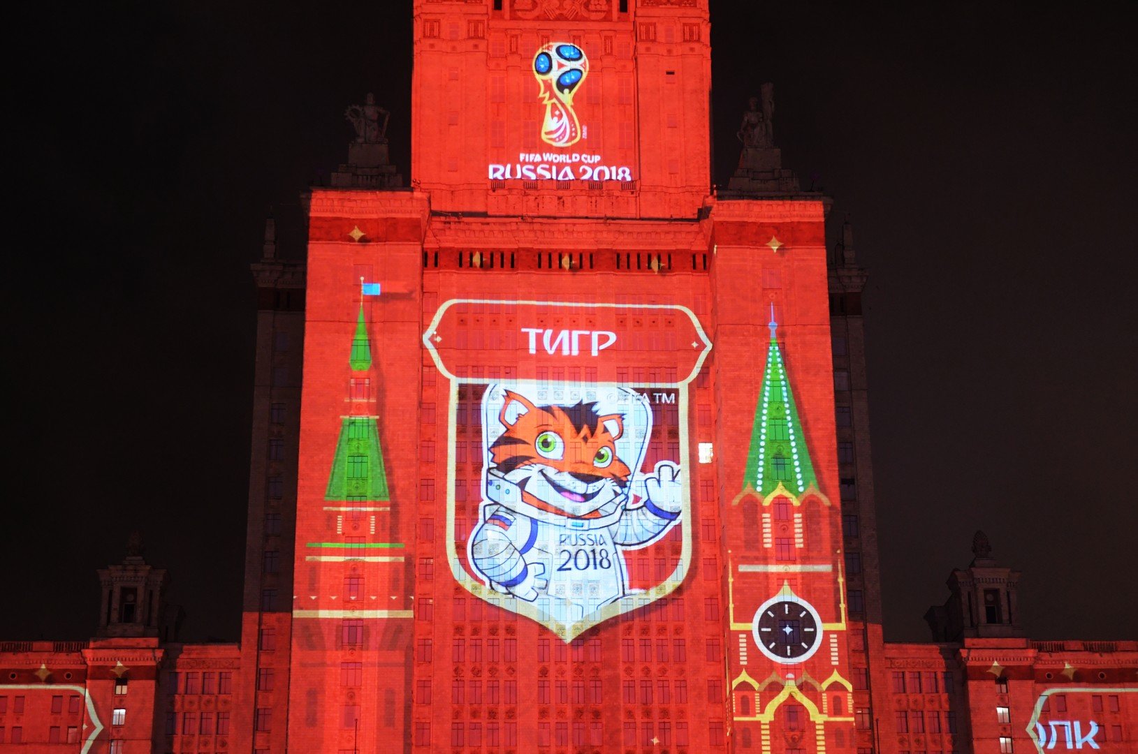 النمر، صاحب المركز الثاني برصيد 27% من الأصوات، في قائمة المرشحين لتعويذة مونديال 2018