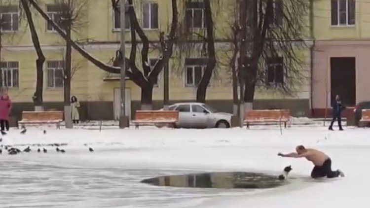 روسيا .. أنقذ كلبا من الغرق بطريقة جنونية وسط المدينة !
