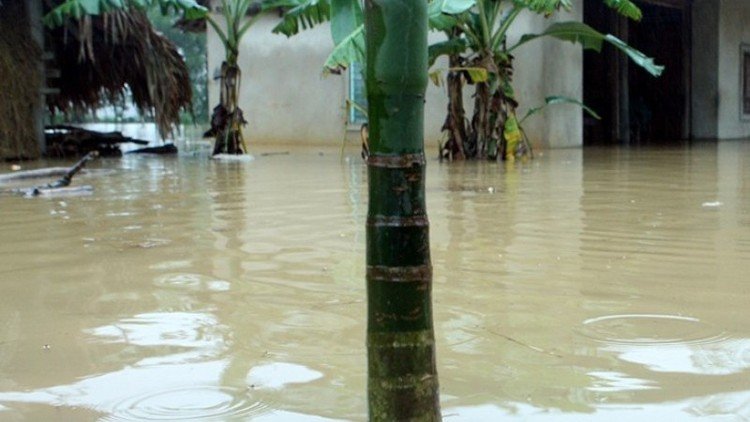 فيتنام.. مقتل 13 شخصا في الفيضانات 