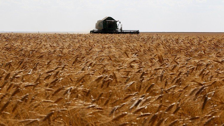 روسيا ستزيد صادرات الحبوب إلى 40 مليون طن 