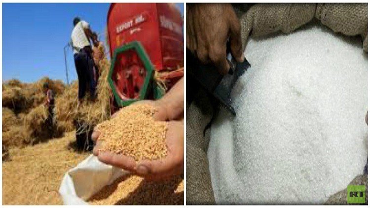 مصر تحل أزمتي القمح والسكر