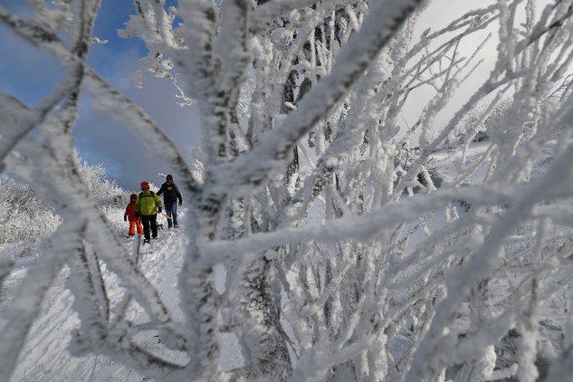 فرانكفورت - ألمانيا