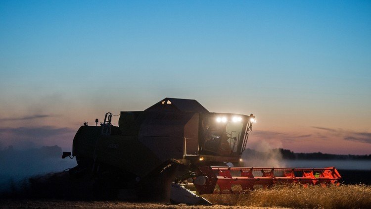 قفزة في صادرات القمح الروسية 