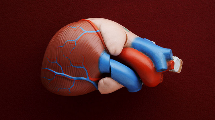 نجاح اختبارات جهاز 