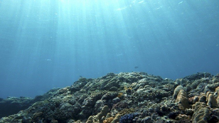 العلماء يلاحظون انخفاضا كارثيا في مستويات الأوكسيجين في المحيطات