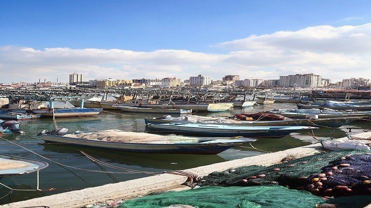 الصادرات المصرية تقفز 25%