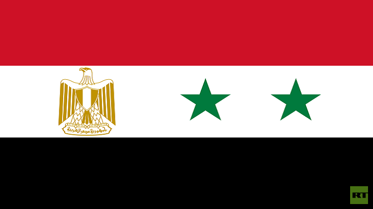 مصر تتحدث عن تسوية سورية مقبلة وعودة للجامعة العربية