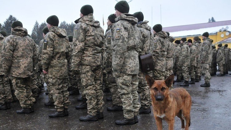  الدفاع الأوكرانية مستعدة لوقف نار جديد في دونباس
